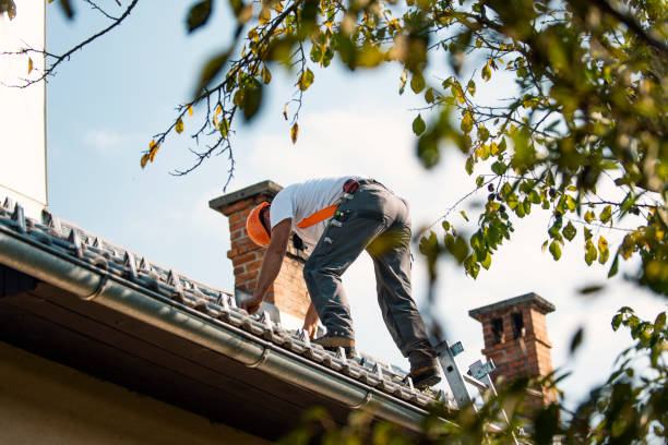 Best Flat Roof Repair Services  in Huntley, IL